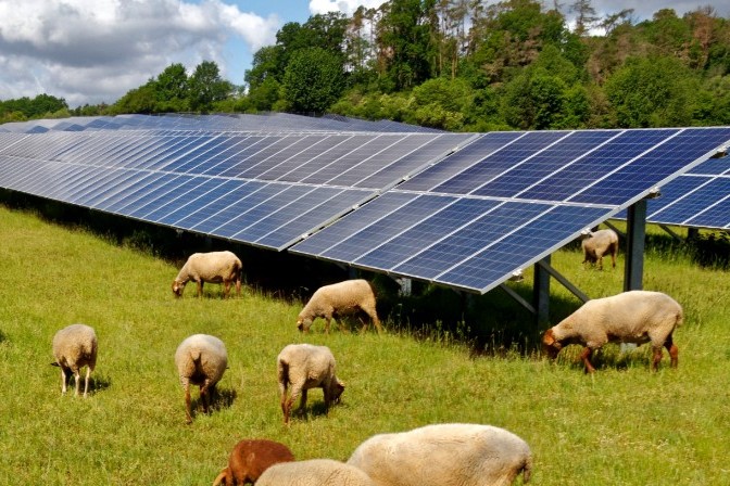 Kent solar farm approved Kent solar farm approved