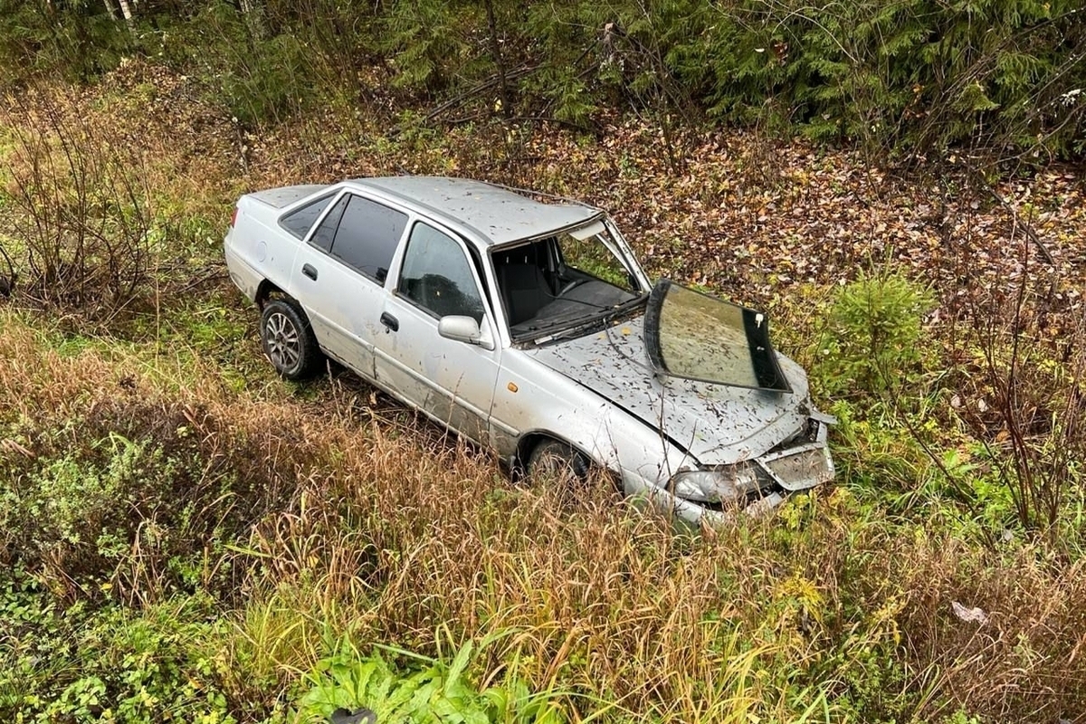 Житель Шарьи несколько раз за ночь попал в криминальную сводку МВД