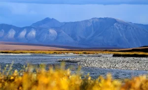 Trump Administration Sets Alaska Refuge Drilling Plan, Advances Road Projects