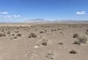 Governo USA Annulla Approvazione per Grande Impianto Solare in Nevada con Impatti Potenziali sulle Energie Rinnovabili