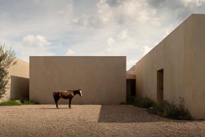 Casa San Francisco in Messico: un esempio di architettura sostenibile e integrata nel paesaggio naturale